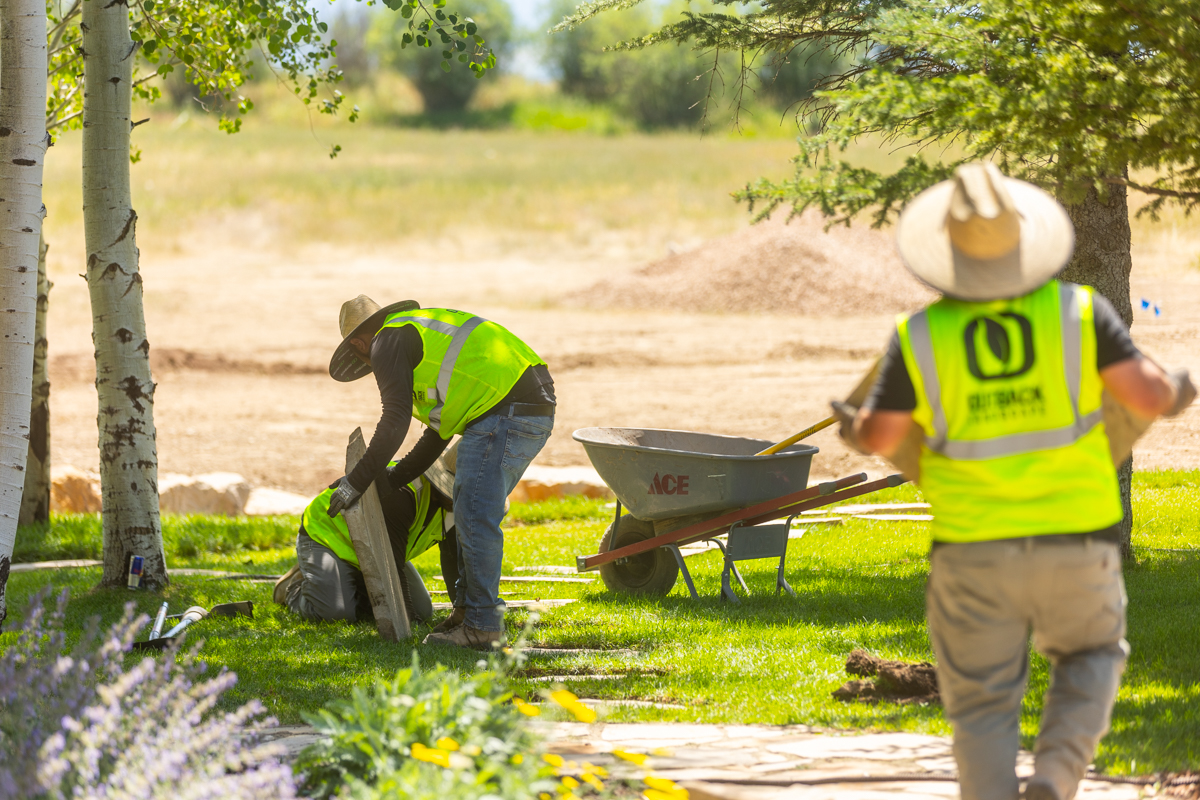crew team installation stepper walkway lawn trees