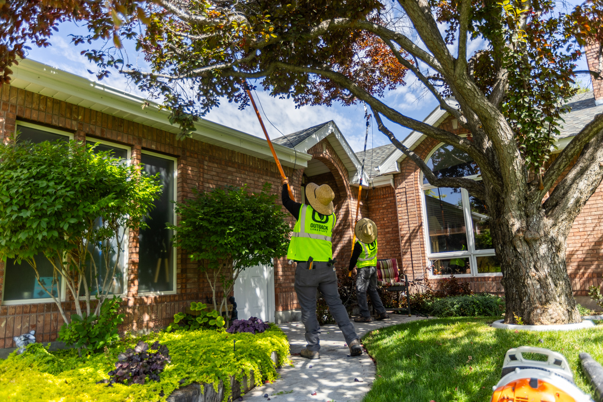residential maintenance tree trimming prune crew team lawn 8