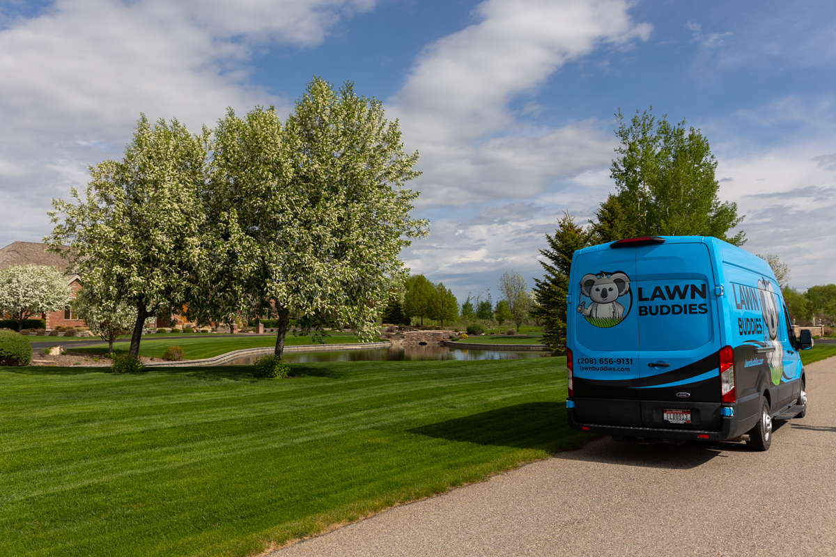 LB van