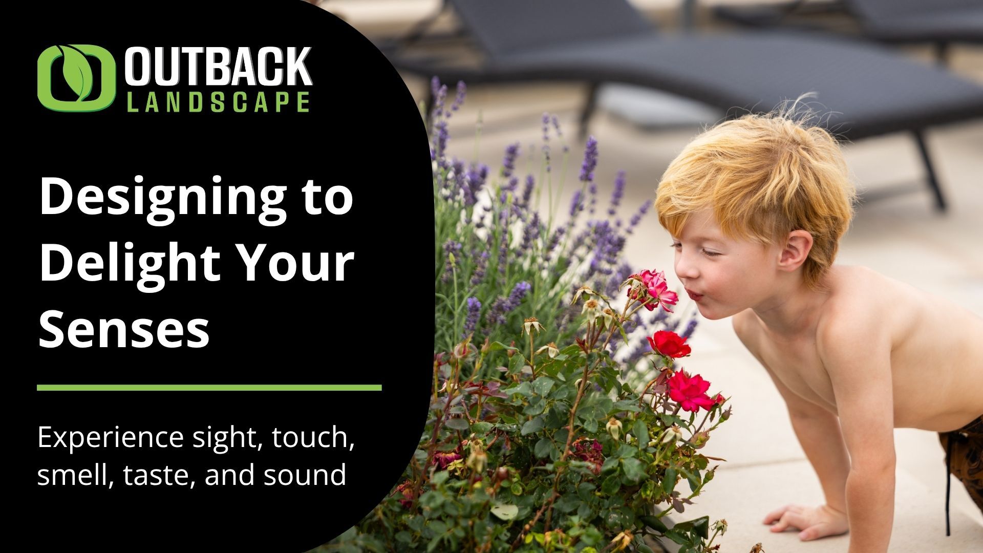 Senses Landscape Design - Outback Landscape