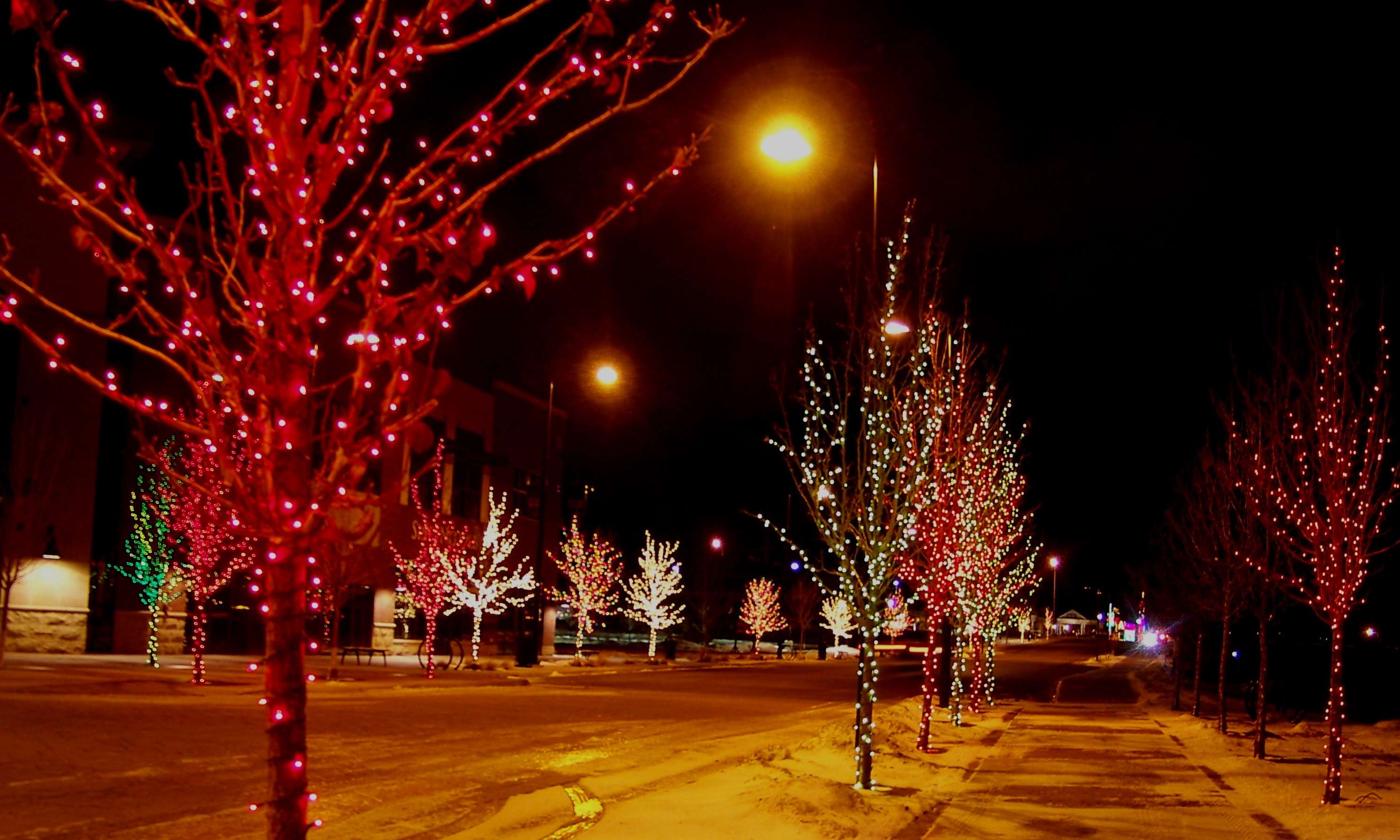 Holiday Light Installation