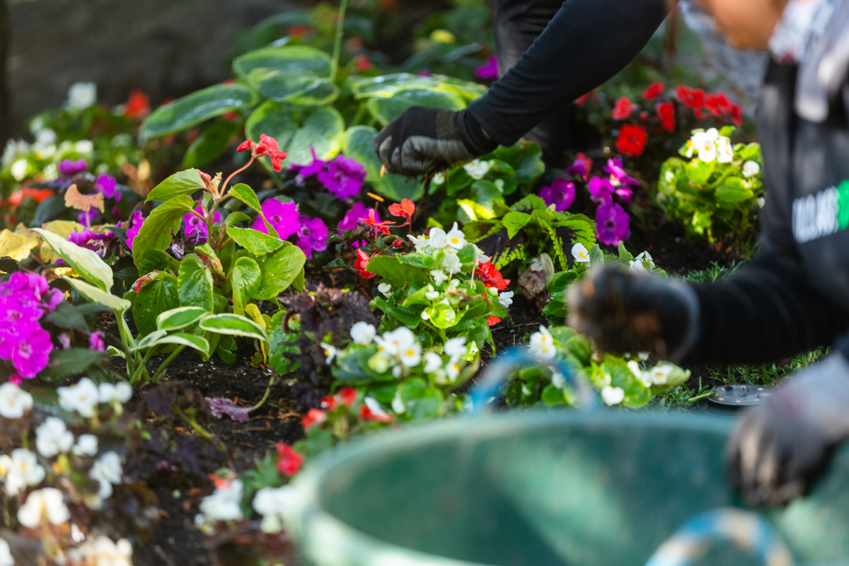 landscape crew maintaining a nice flower bed in an idaho falls landscape