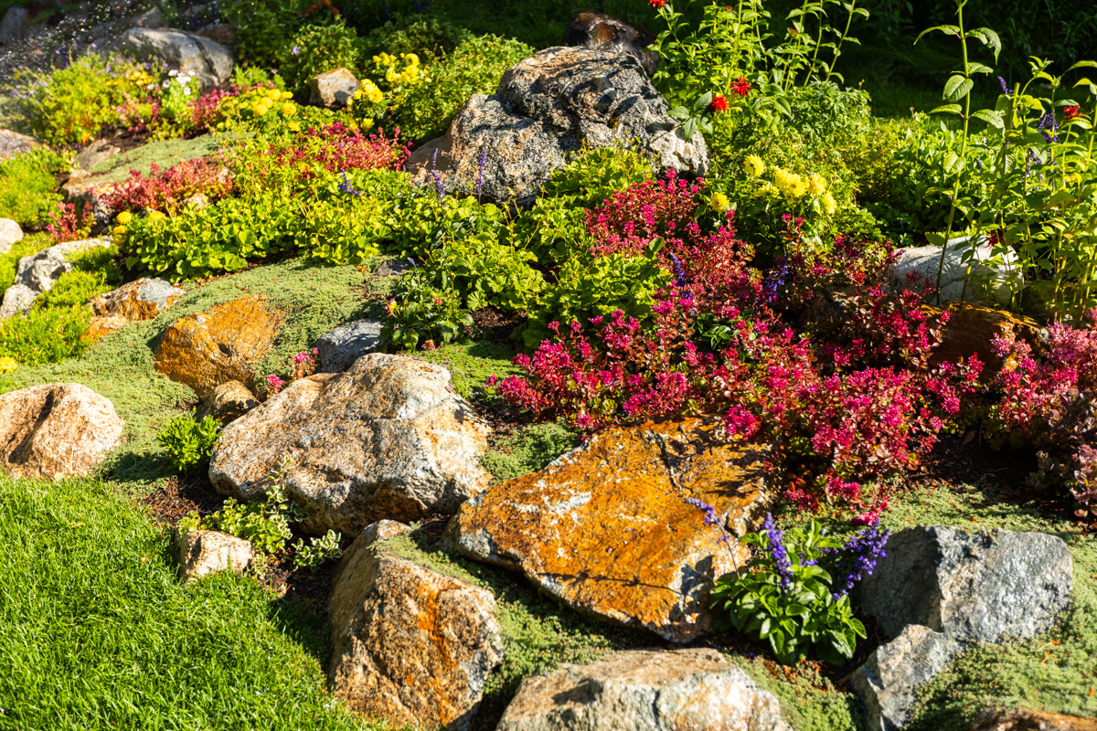 annual flowers in a nice planting bed in idaho falls